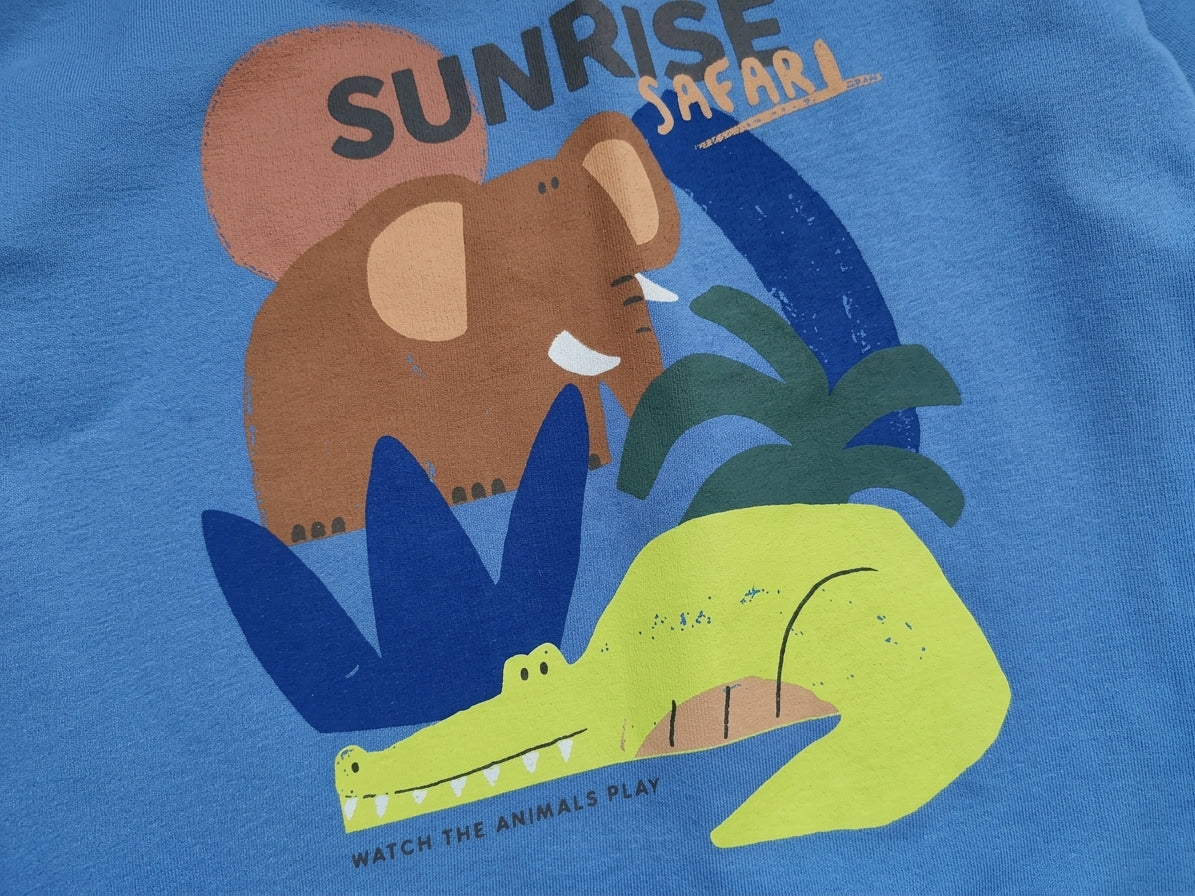 NEXT BLUE SUNRISE SAFARI GRAPHIC SWEATSHIRT