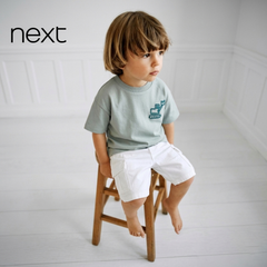 T-SHIRT SAGE GREEN WITH TRUCK